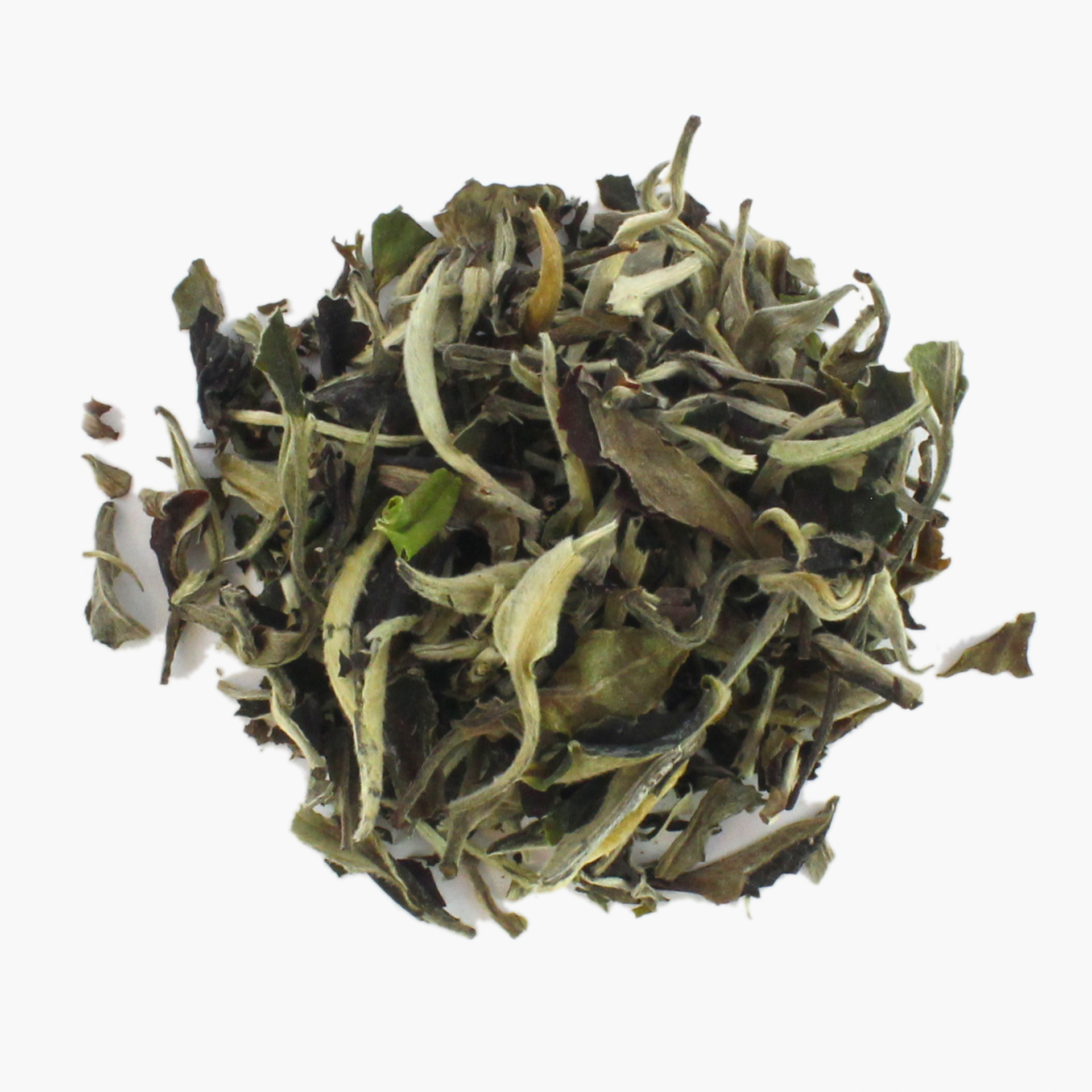 Premium Moonlight White