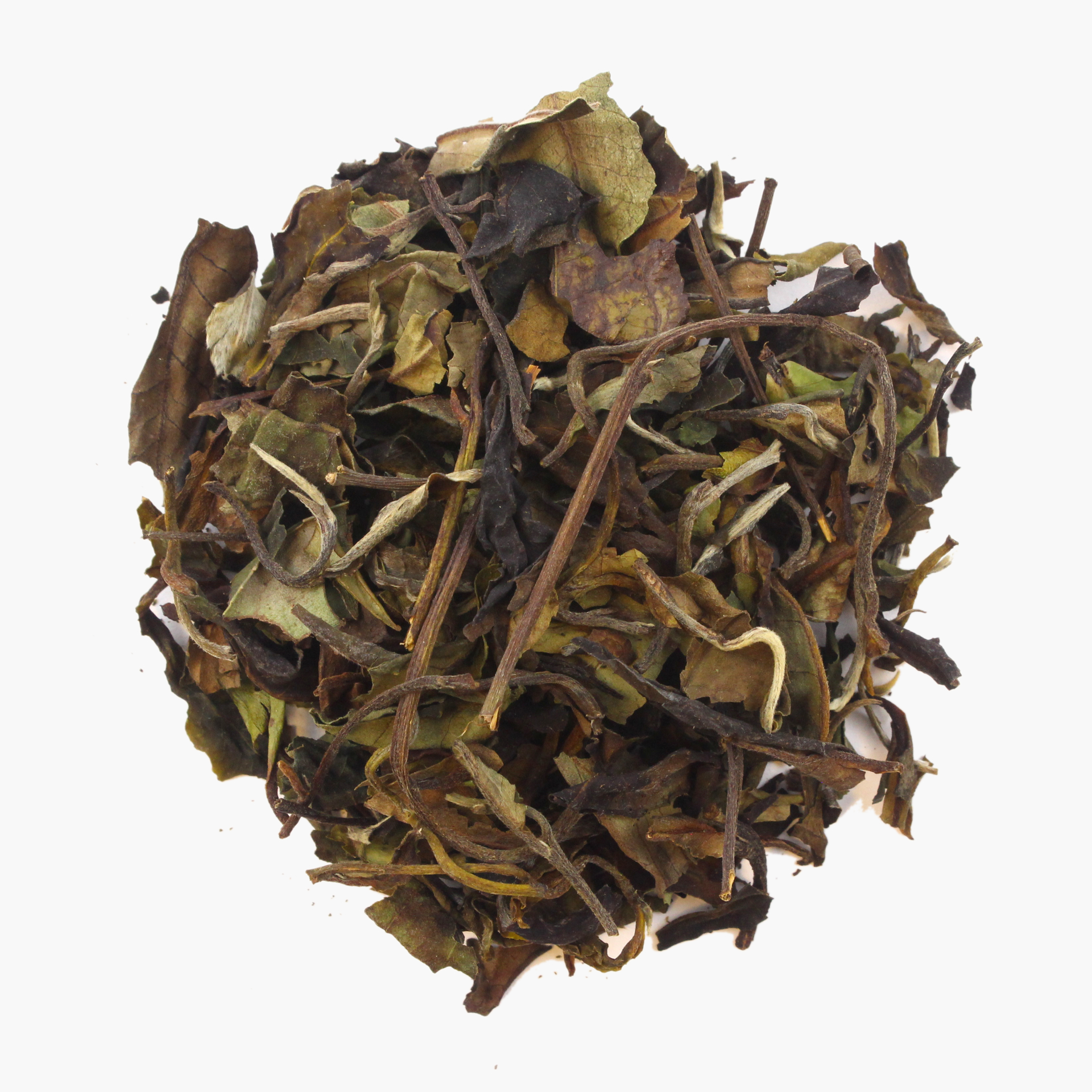 The White Queen, Bio