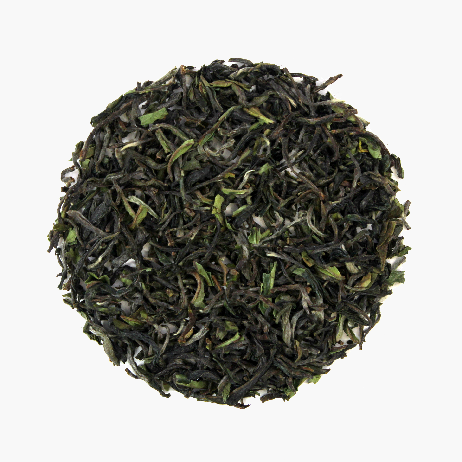 Shangri La 1. Flush - 2025, Bio