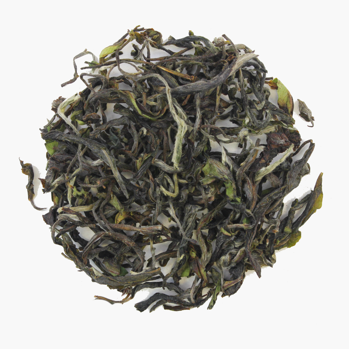 Darjeeling No.1 - 2025, Bio