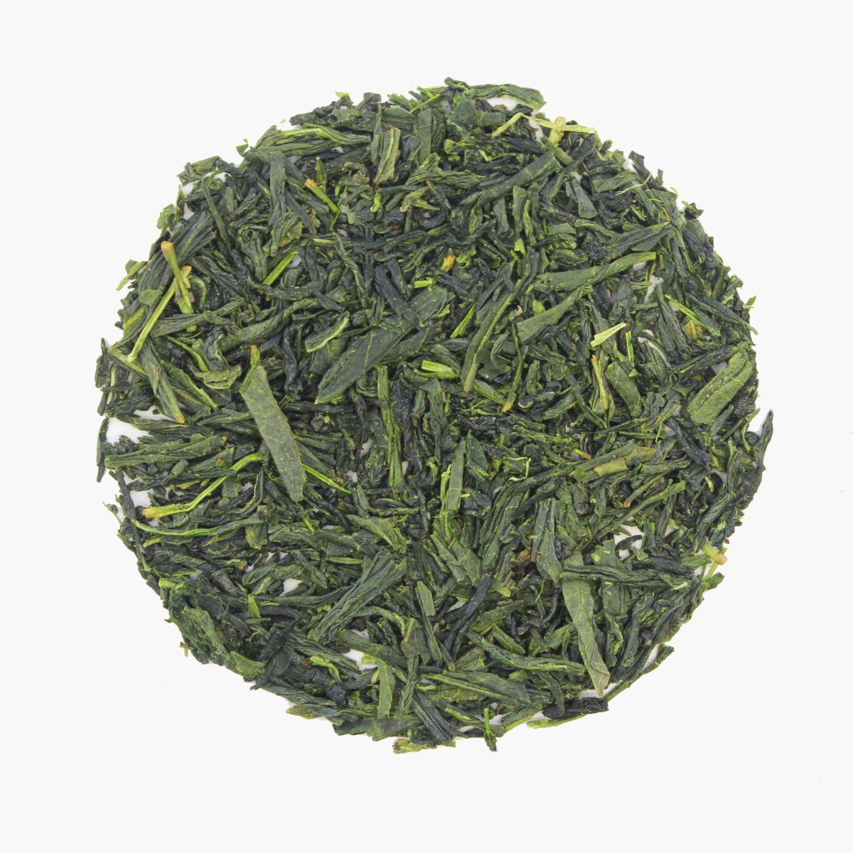 Kabuse Shincha - 2025, Bio