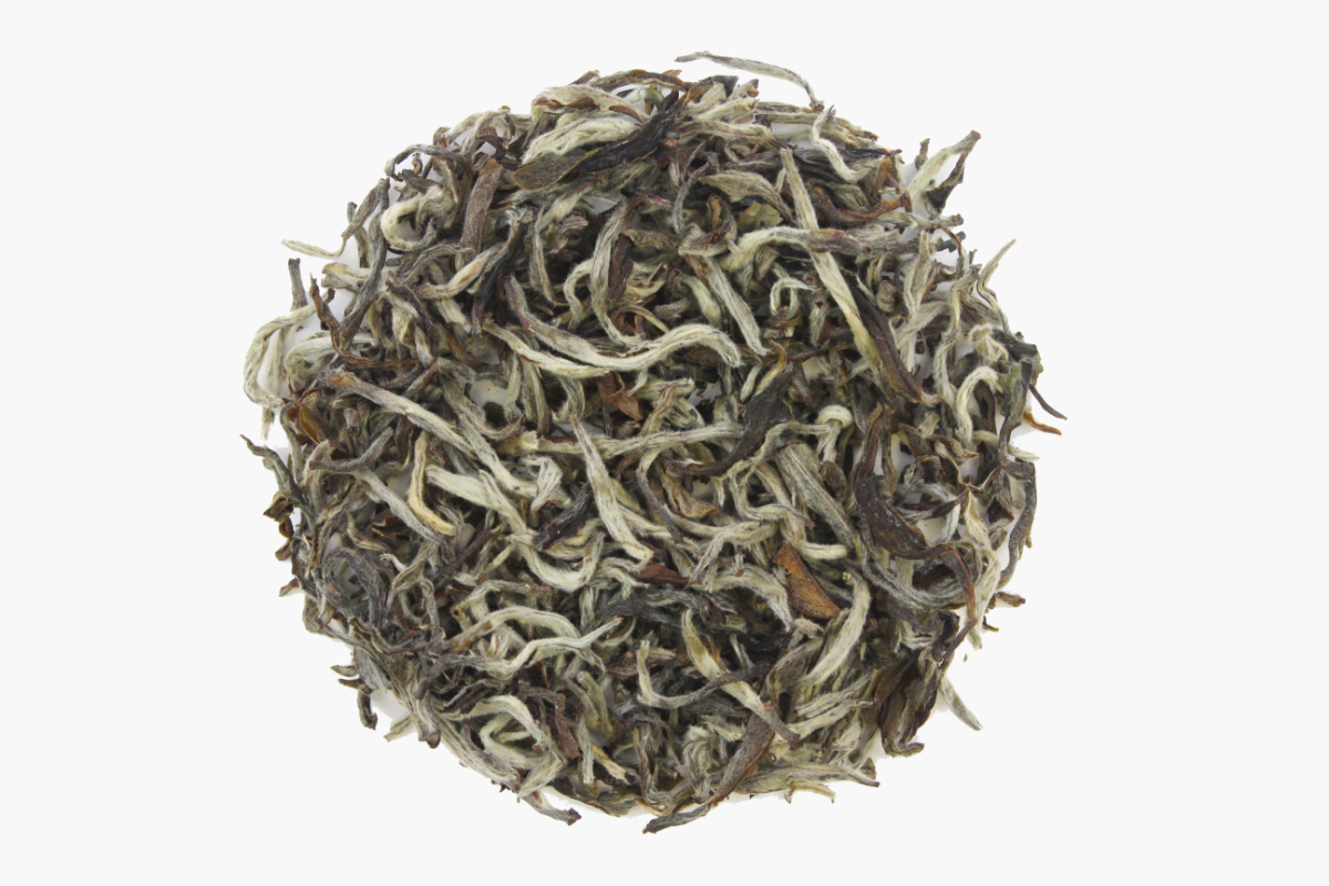 White Shangri La - Nepal, Bio