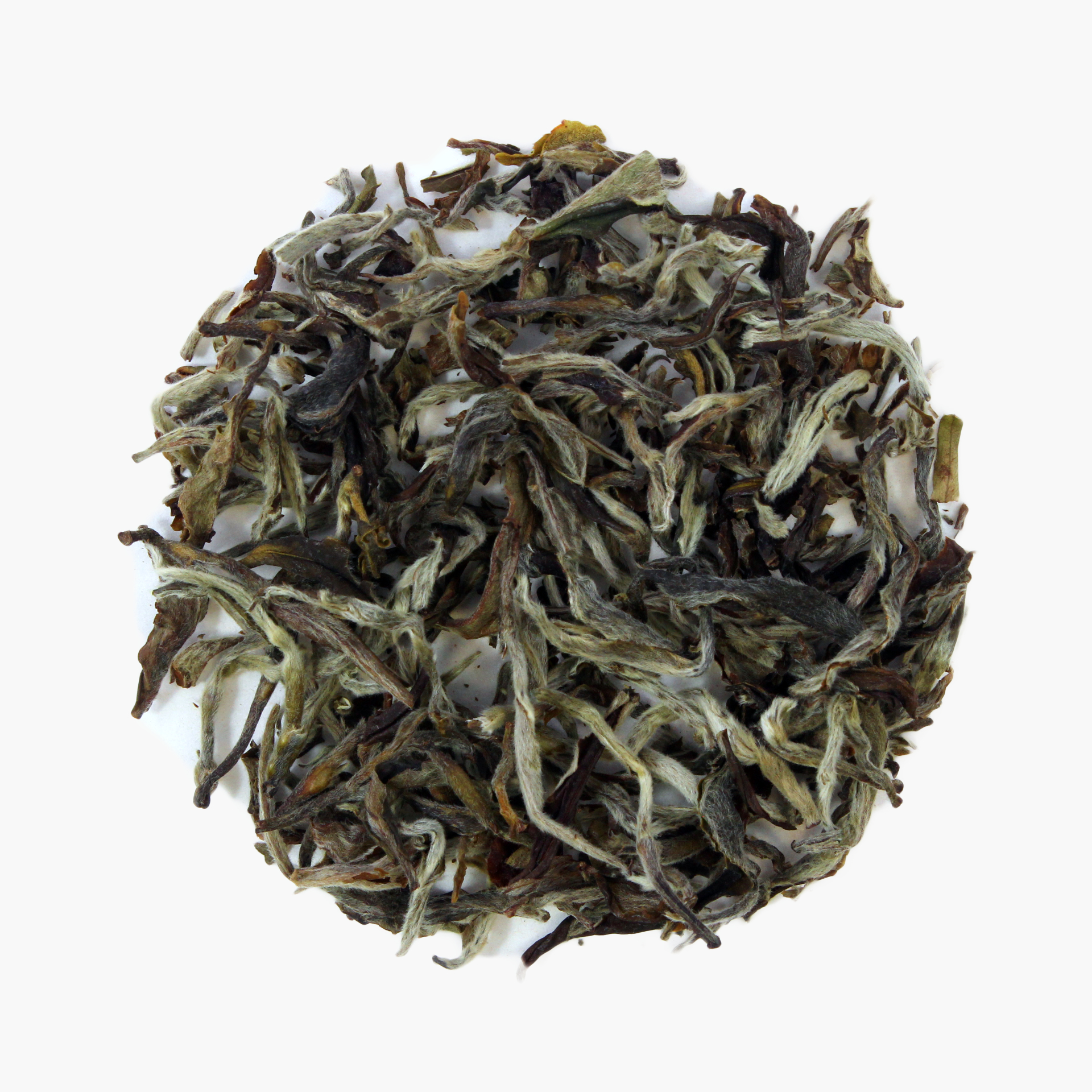 Star of Himalaya - Nepal, Bio