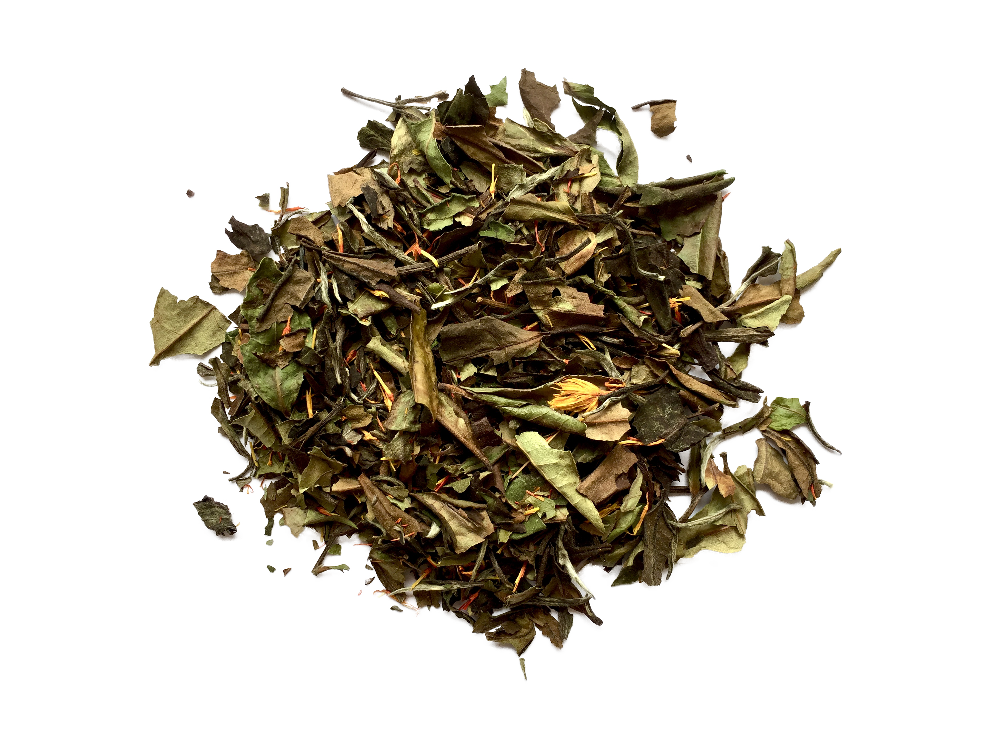 Weißer Tee mit Blutorange, Bio