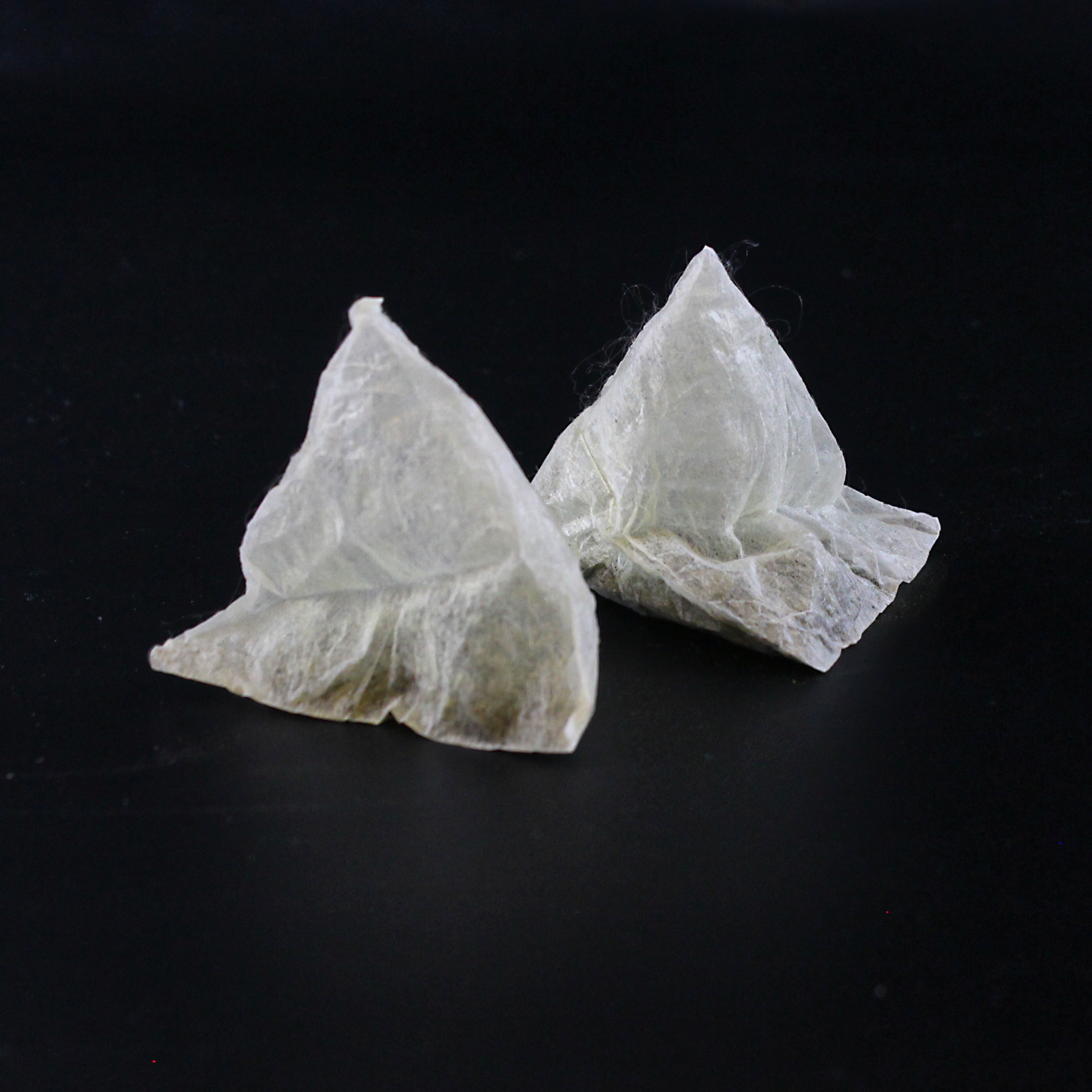 Mizudashi Hayashi, Bio