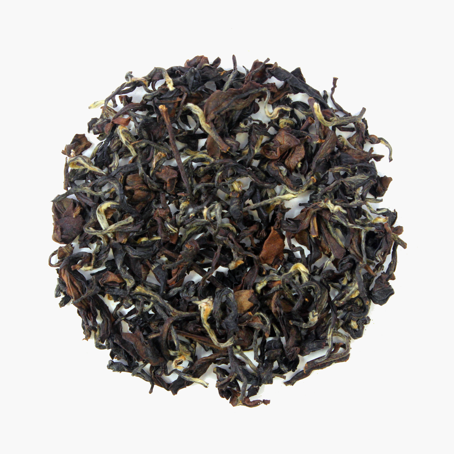 White Tips Oriental Beauty