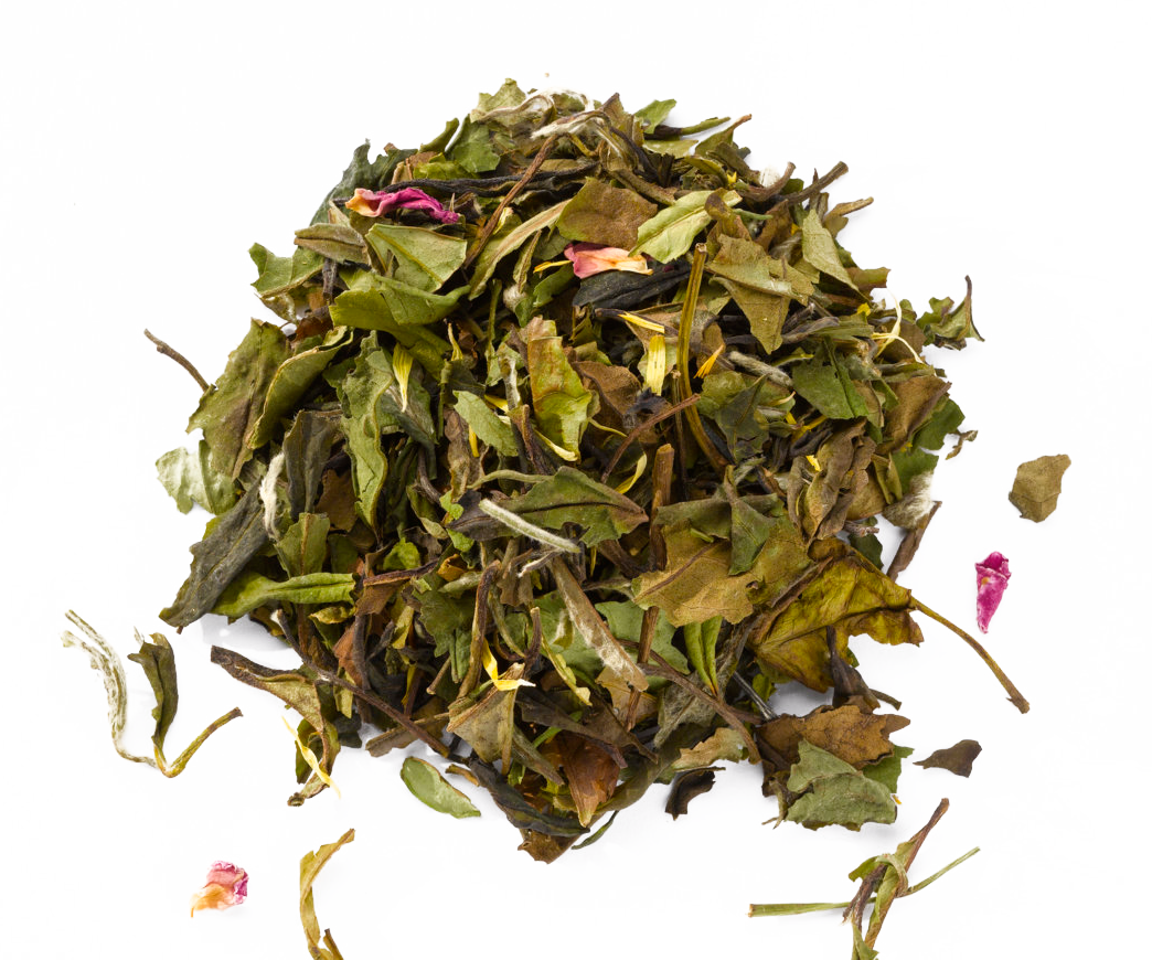 Weißer Tee mit Holunderblüte