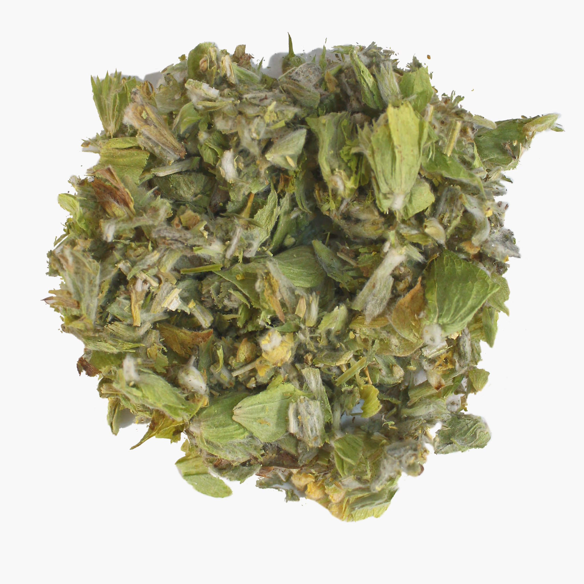 Griechischer Bergtee