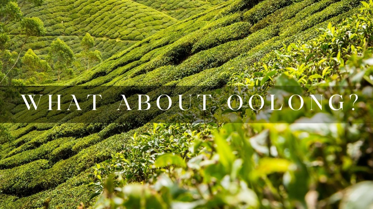 What about Oolong? - Set