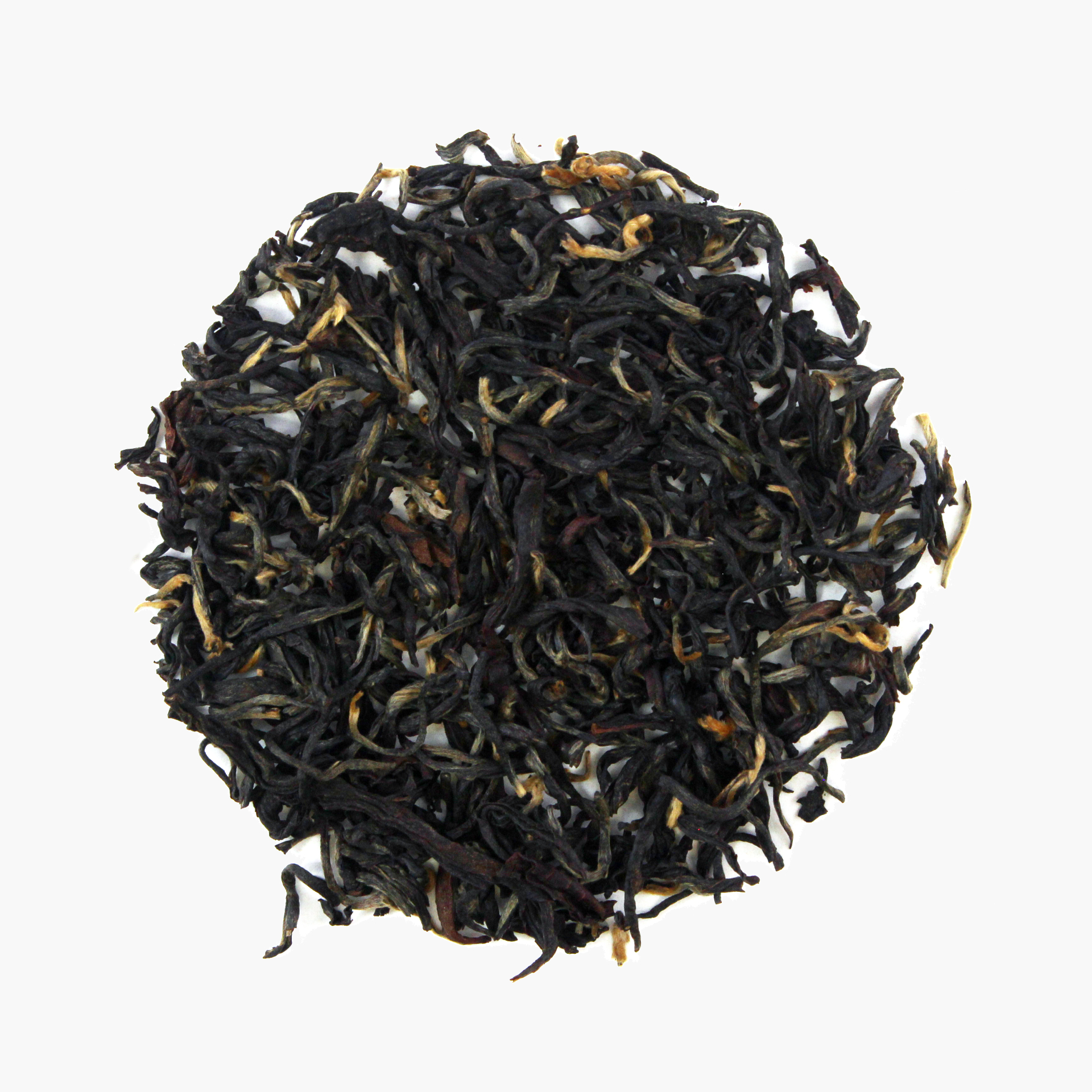 Snowview - Golden Bloom, Bio