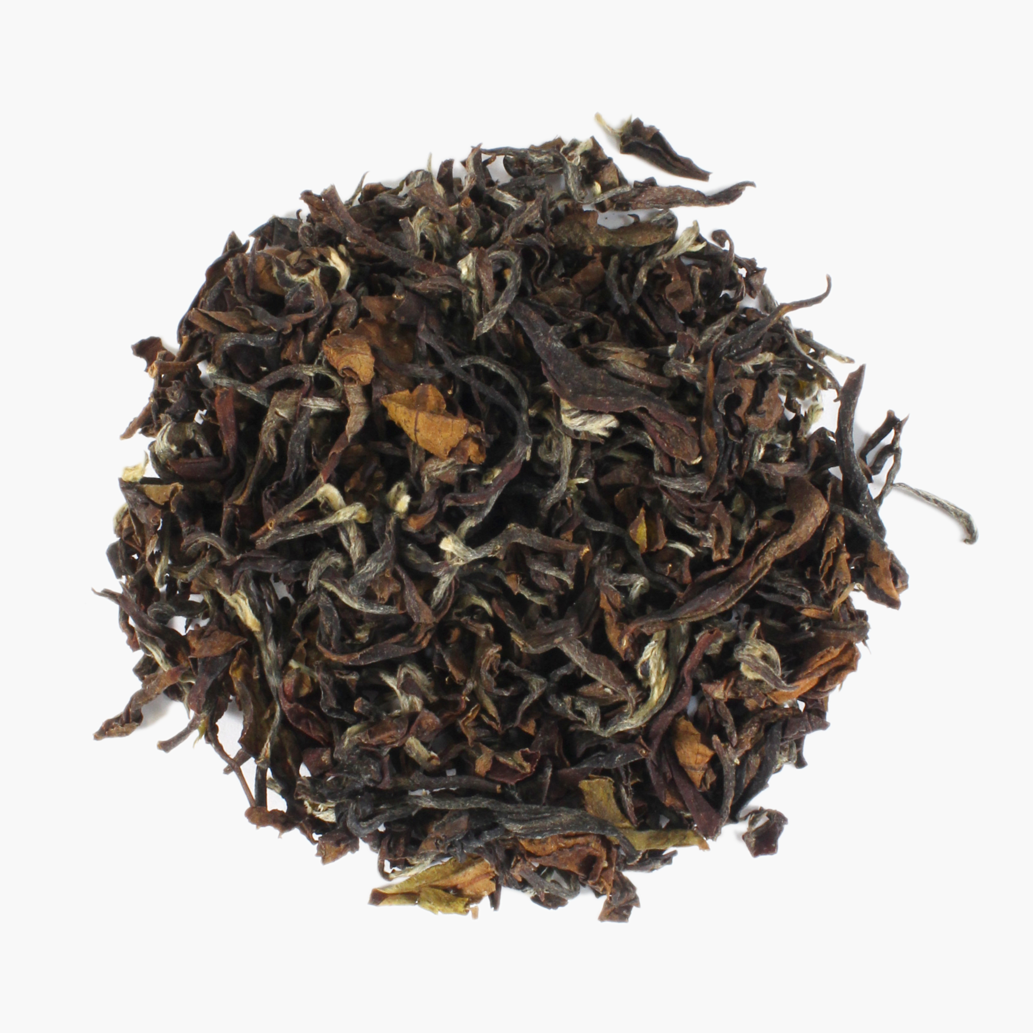 Oriental Beauty, Bio