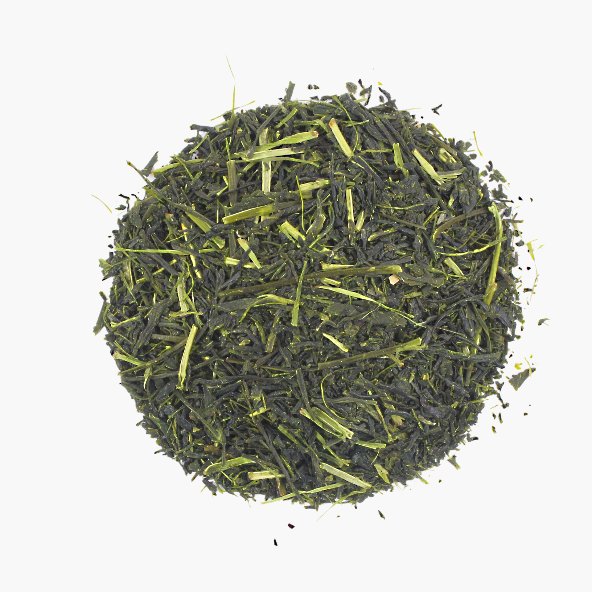 Sakura-No Shincha Moe - 2025