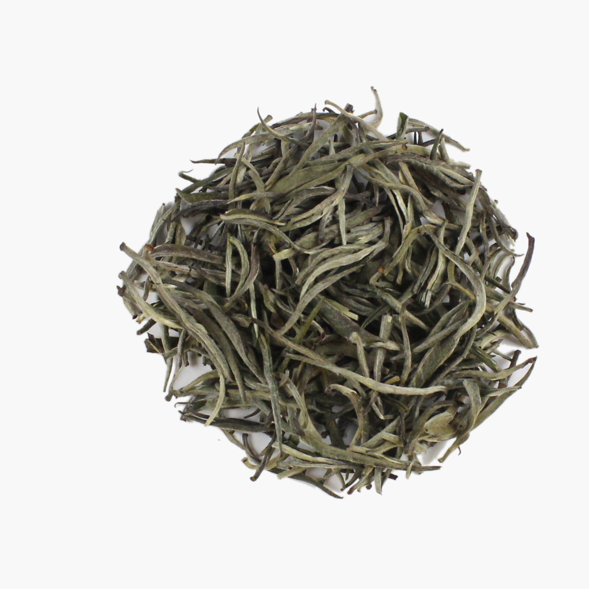 Silver Tips - Mosambik, Bio