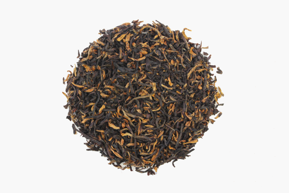 Assam Halmari clonal Golden Tips OR236